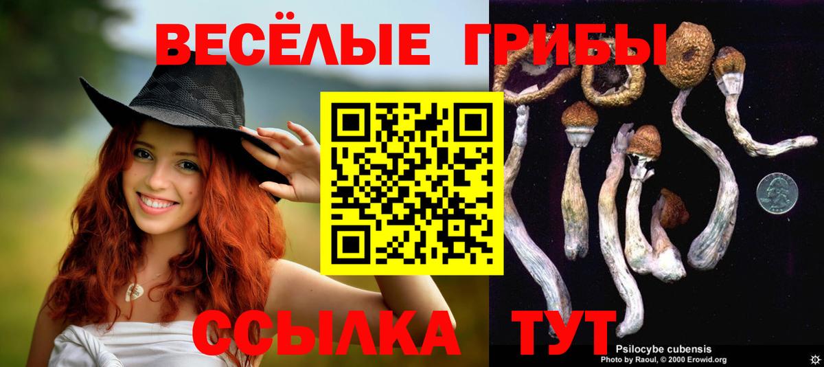 Галлюциногенные грибы мицелий  Вход с VPN  Псилоцибиновые грибы GOLDEN TEACHER  Железноводск 